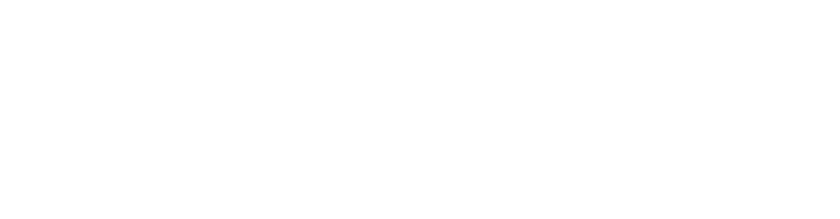 Anubis Solutions, diseño web